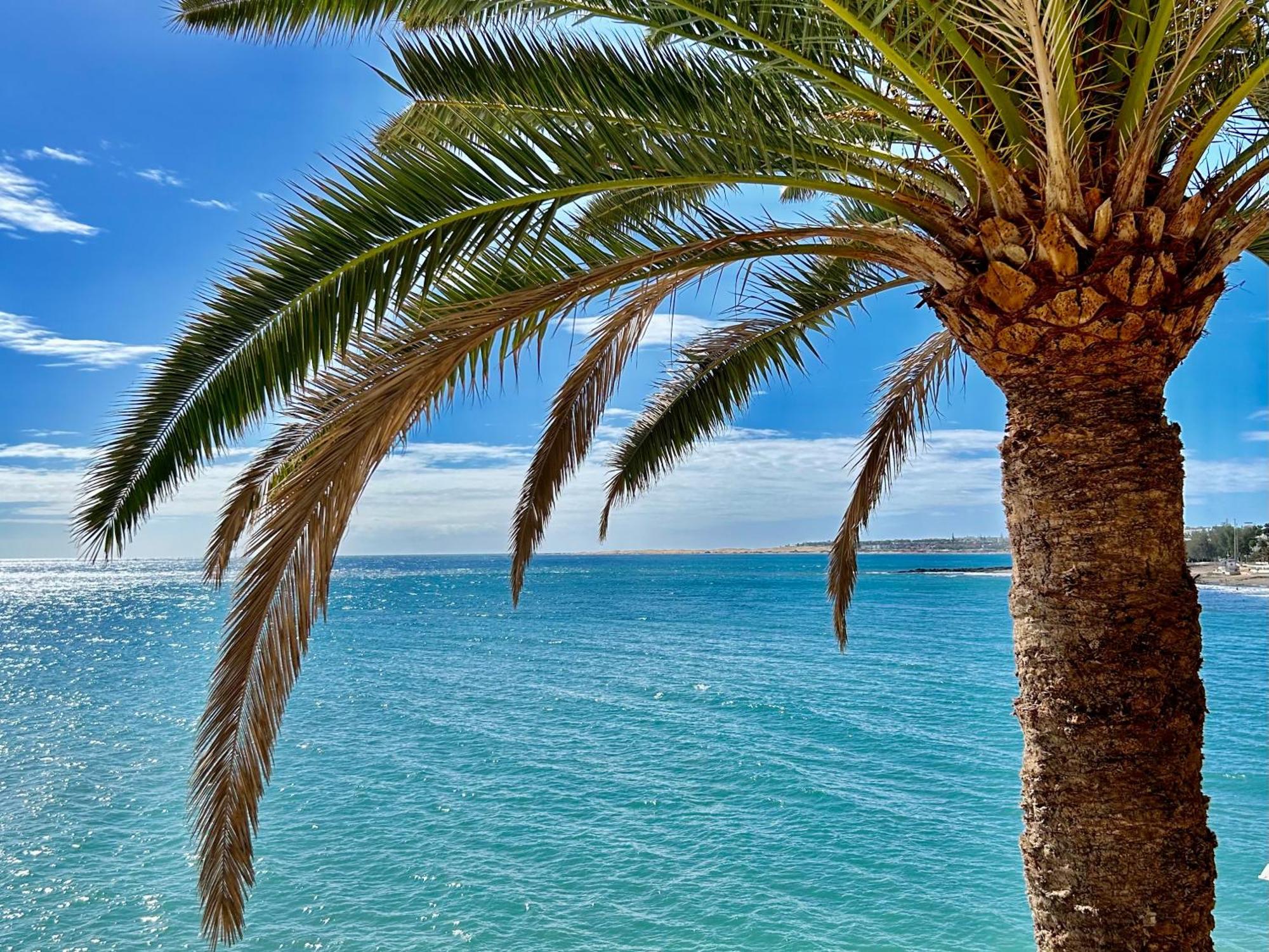 Sobre El Mar Con Vistas A Las Dunas De Maspalomas San Agustín Esterno foto